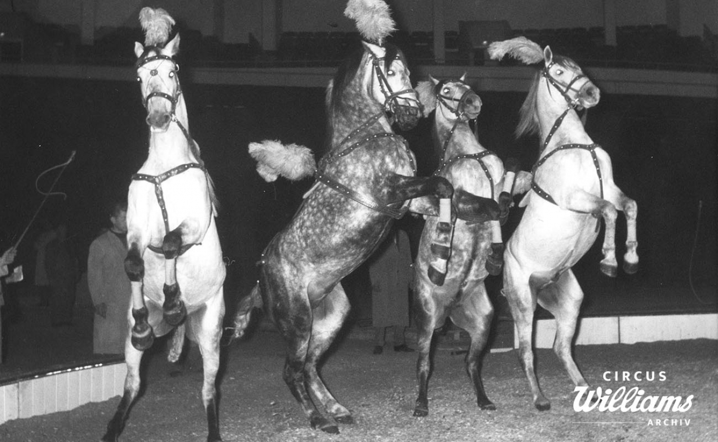 1957 Menschen Tiere Sensatioen