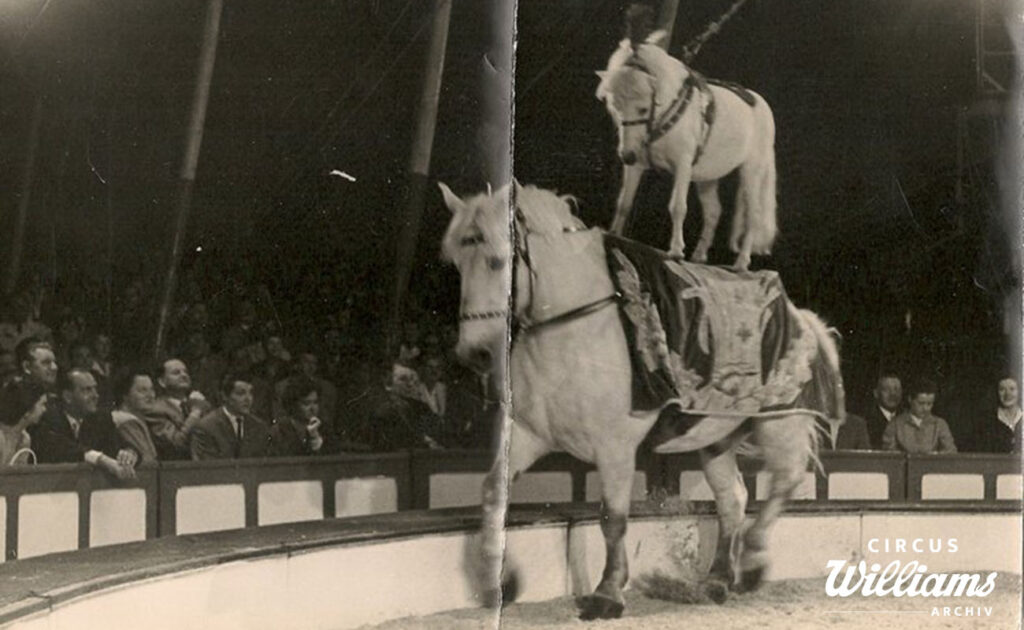 Programmbild 1950